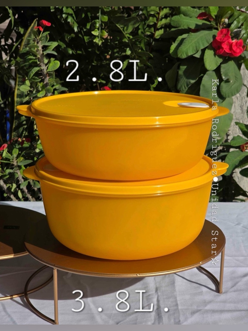 Tupperware Set 2 Round Crystalwave Reheatable Bowls